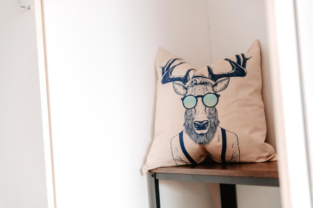Cozystay - Gemuetliche Wohnung Im Oberharz Sankt Andreasberg Luaran gambar